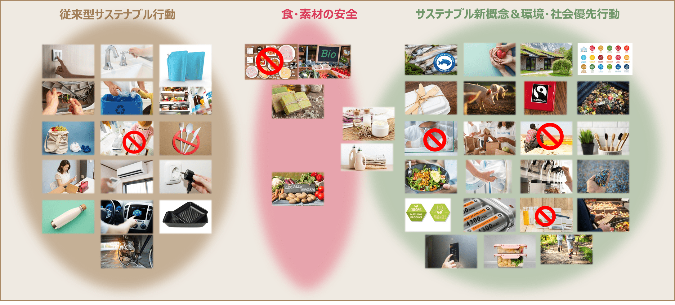 SB_06_3types.png