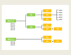 Image output that classifies the elements of consumer product selection criteria by SCI concurrent purchase cluster