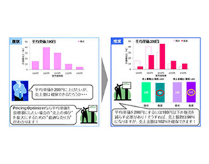 Output image of Pricing Optimizer1