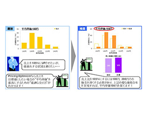 Output image of Pricing Optimizer2