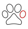 Pets