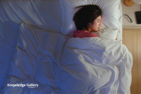 Sleep Market in the Spotlight: Exploring Opportunities with “Bird’s Eye” and “Bug’s Eye” Views of the Market