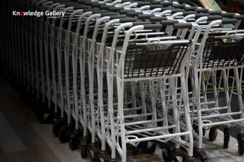 New Lifestyle Scenes: Looking Back and Looking Ahead - Shopping Attitudes and Behavior