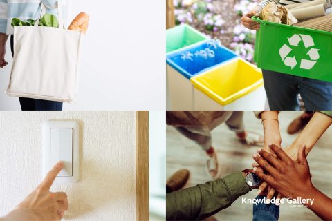Thinking about “Japanese Sustainability”: What are the Environmentally and Socially Conscious Actions of People Living in Japan?