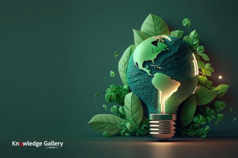 Utilizing a Sustainability Perspective to Solve Business Problems