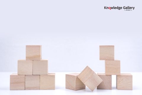 “Successful and Unsuccessful Price Increases” Considered Based on Consumer Price Acceptability