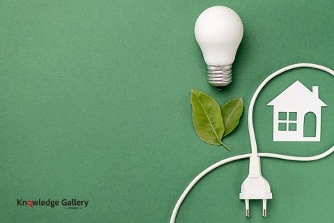 nflation and guarding one’s purse strings – are people cutting back on energy consumption for the sake of the global environment, or their household budgets?