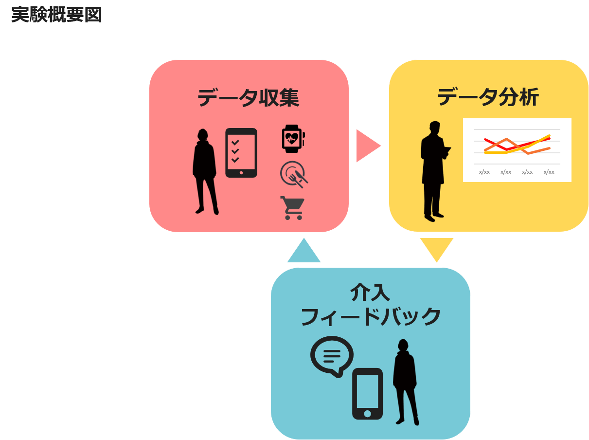 実験概要図