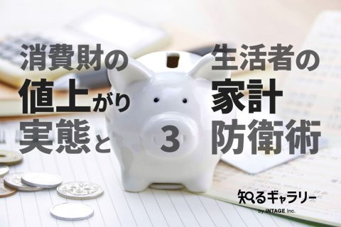 消費財の値上がり実態と生活者の家計防衛術（３）