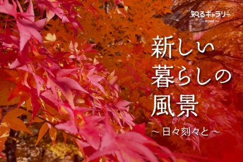 新しい暮らしの風景 ～ 日々刻々と ～