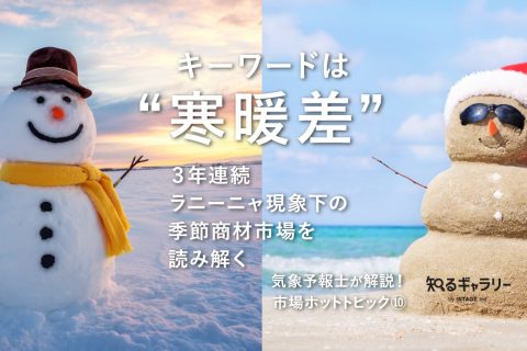 市場ホットトピック