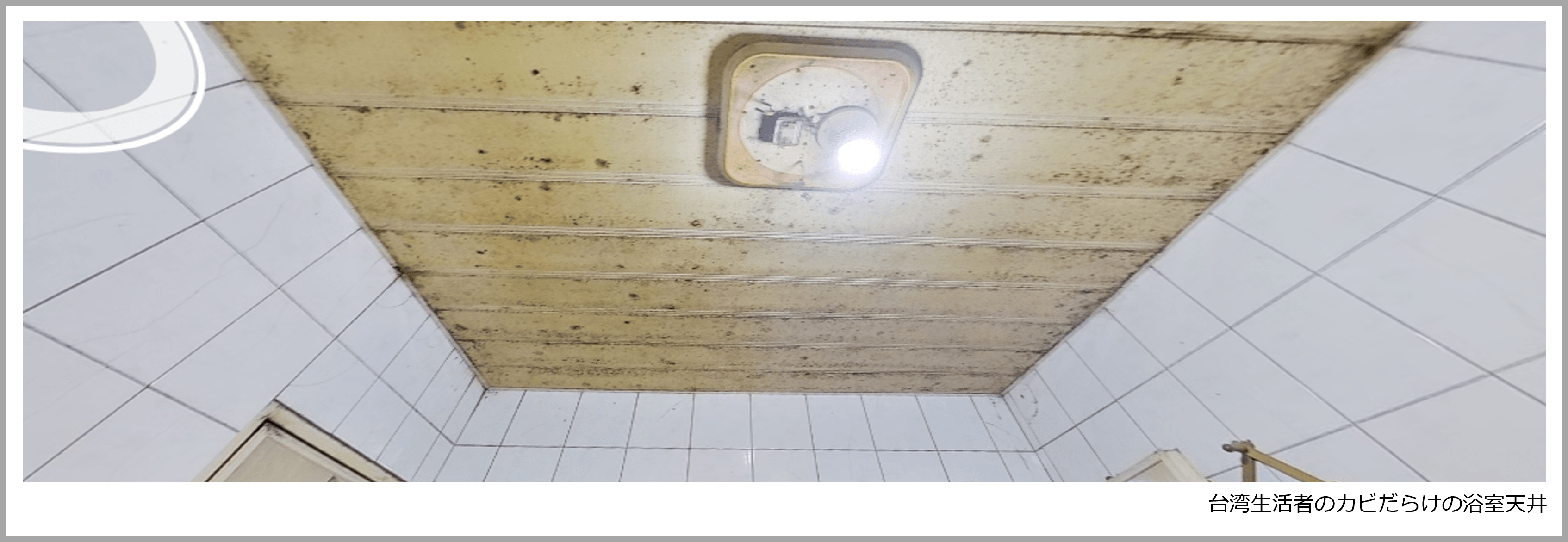 Consumer Life Panoramaから見る台湾生活者の湿気対策