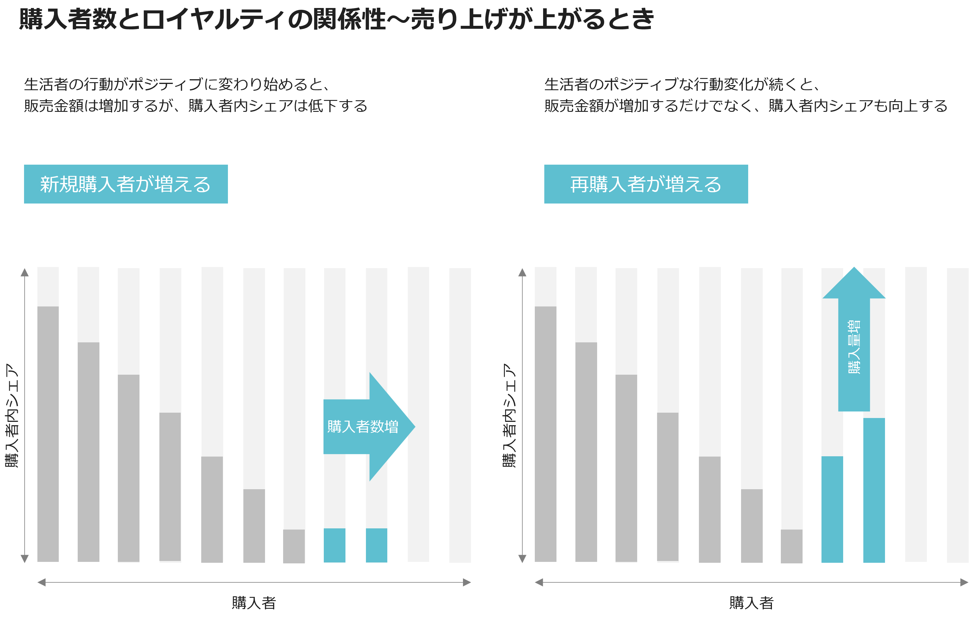 購入者数とロイヤルティの関係性~売り上げが上がるとき