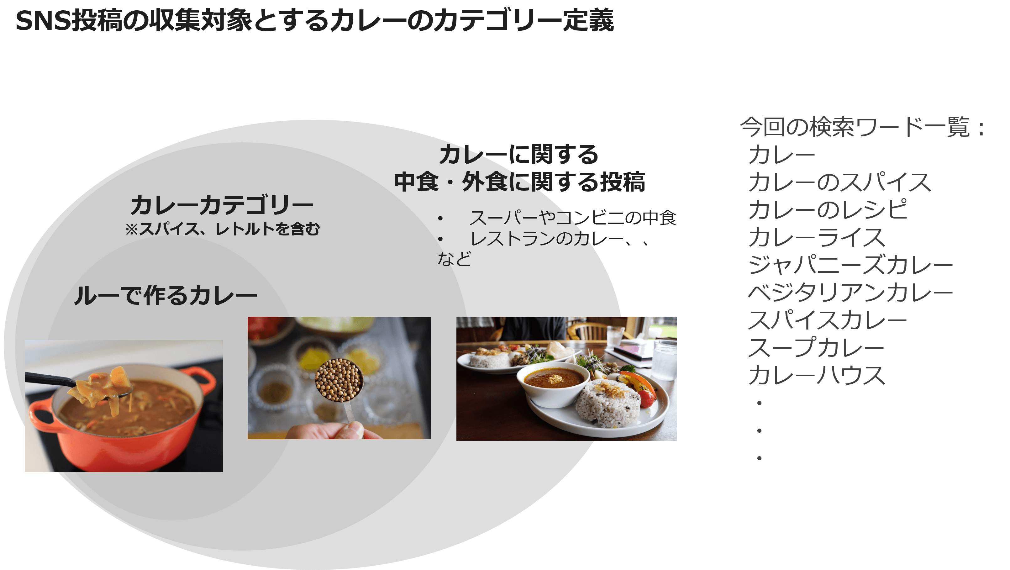 SNS投稿の収集対象とするカレーのカテゴリー定義