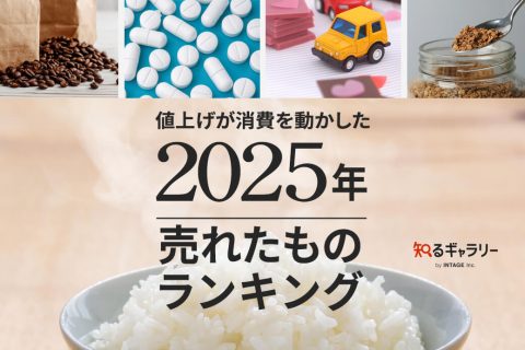 値上げが消費を動かした「2025年、売れたものランキング」