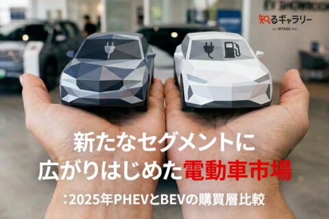 新たなセグメントに広がりはじめた電動車市場：2025年PHEVとBEVの購買層比較