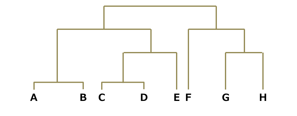 階層的手法で生成される「樹形図」例