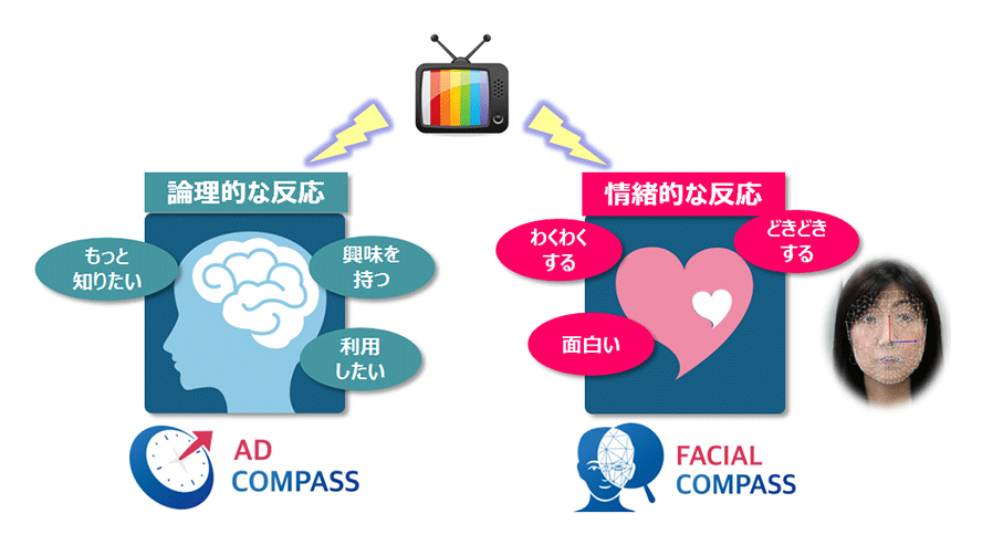 ADCompassが論理的な反応を捉えるのに対し、FacialCompassは情緒的な反応を捉える