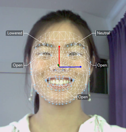 表情解析イメージ図１